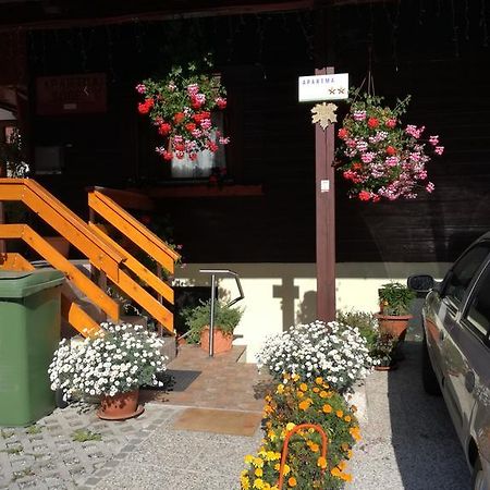 Apartment Stefka Kranjska Gora Exterior foto